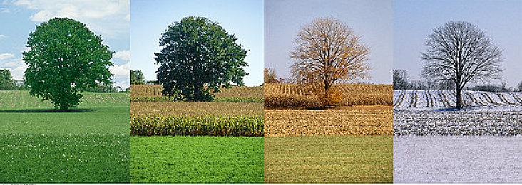 R星改口？《GTA6》“史上最大发行”表述悄然消失